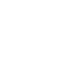 Norman Logo